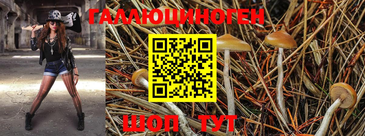 Псилоцибиновые грибы Magic Shrooms Копейск